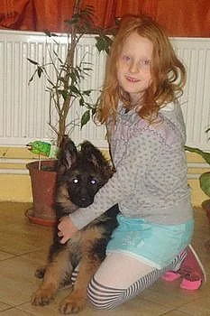 štěňátka německého ovčáka s PP